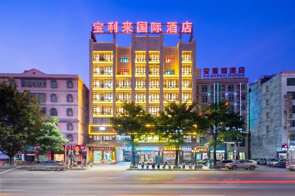 樂東寶利來國際酒店